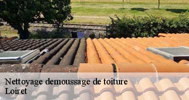 Nettoyage demoussage de toiture Loiret 