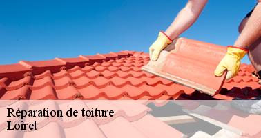 Réparation de toiture Loiret 
